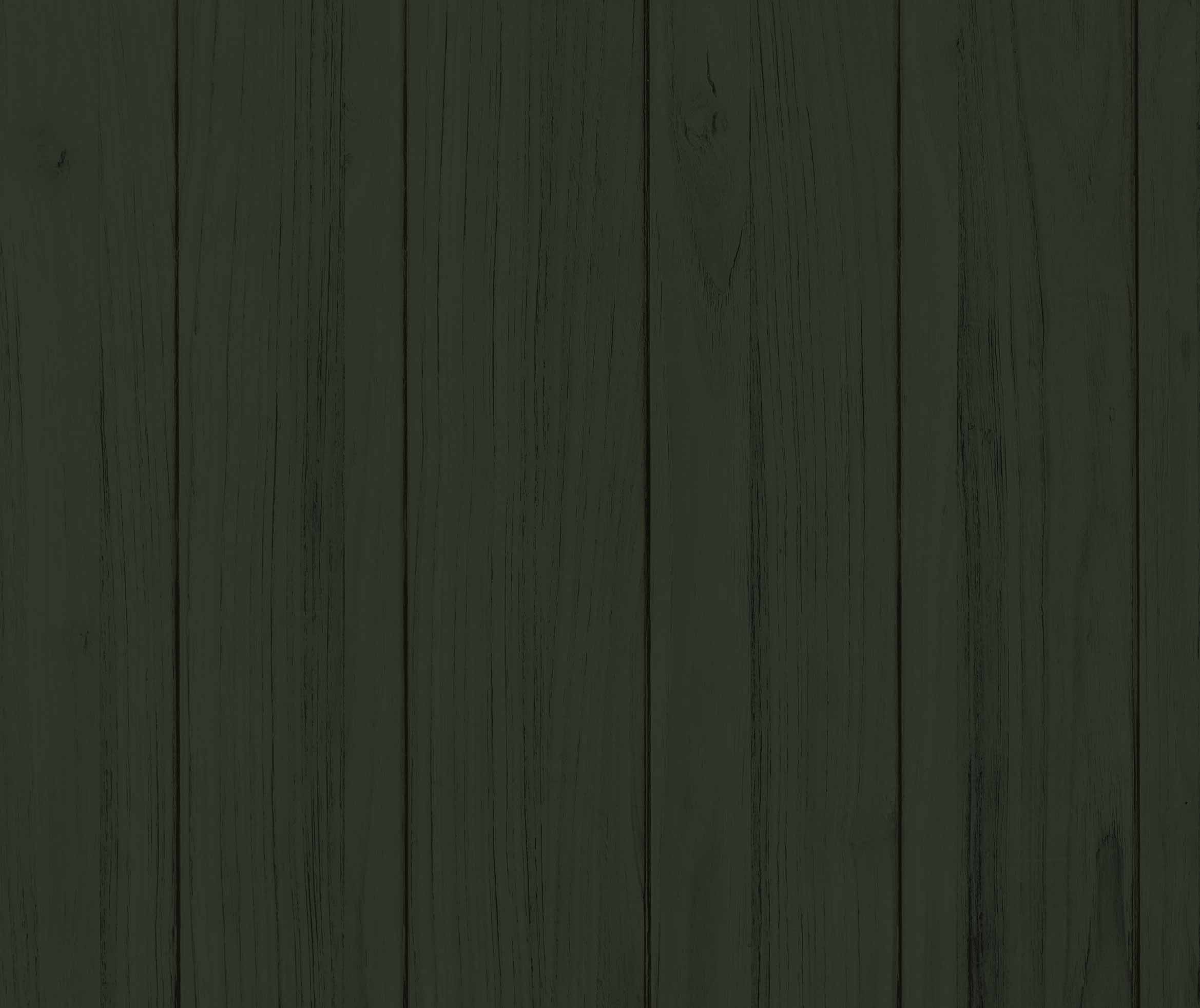 pokbois illu vertsapin 1 pokbois illu vertsapin 1