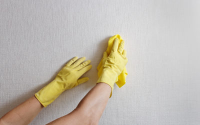 Ammoniaque : 5 Astuces d’Experts pour une utilisation Optimale