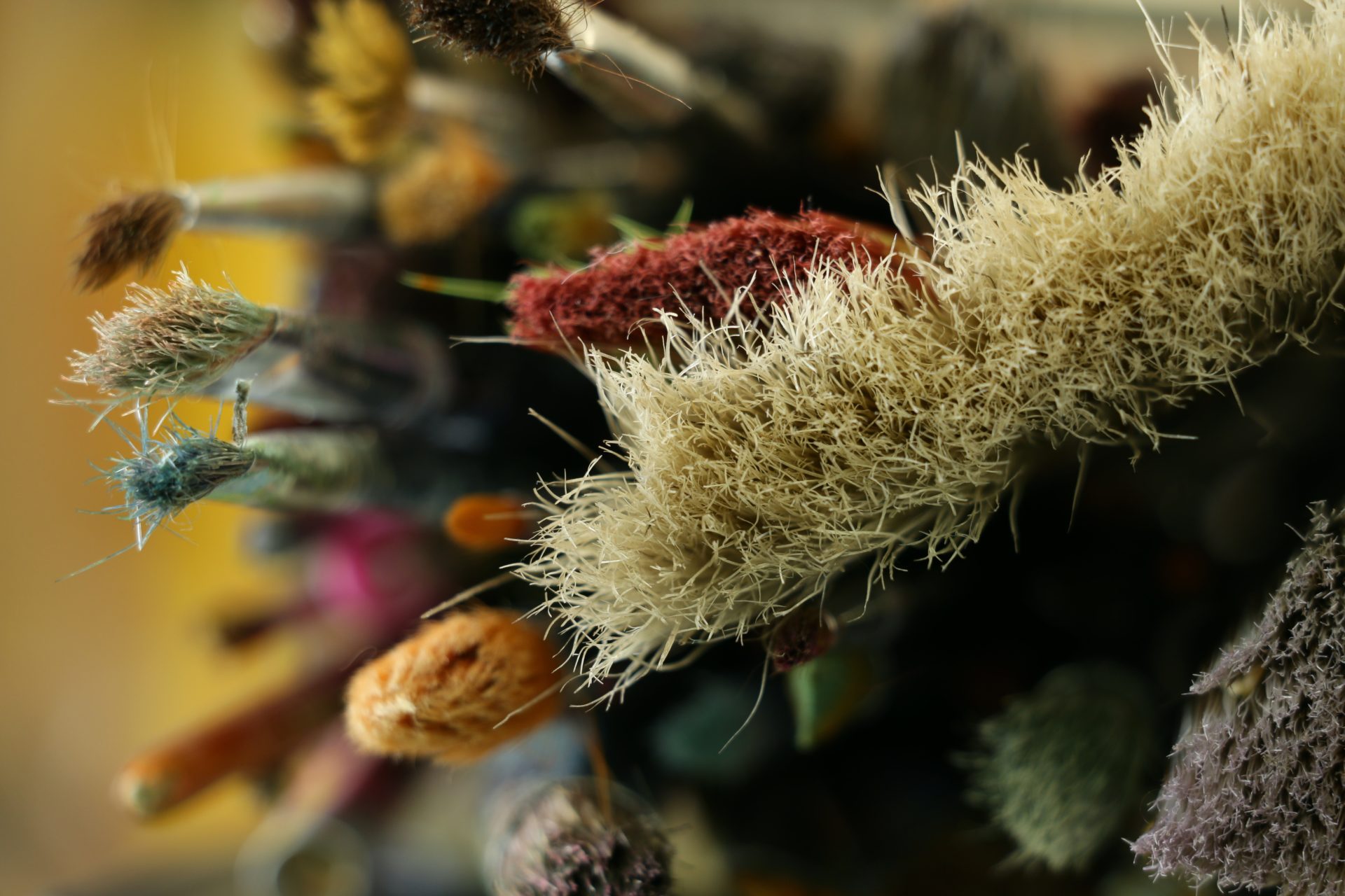 pierre bamin WSyikLUK2 s unsplash